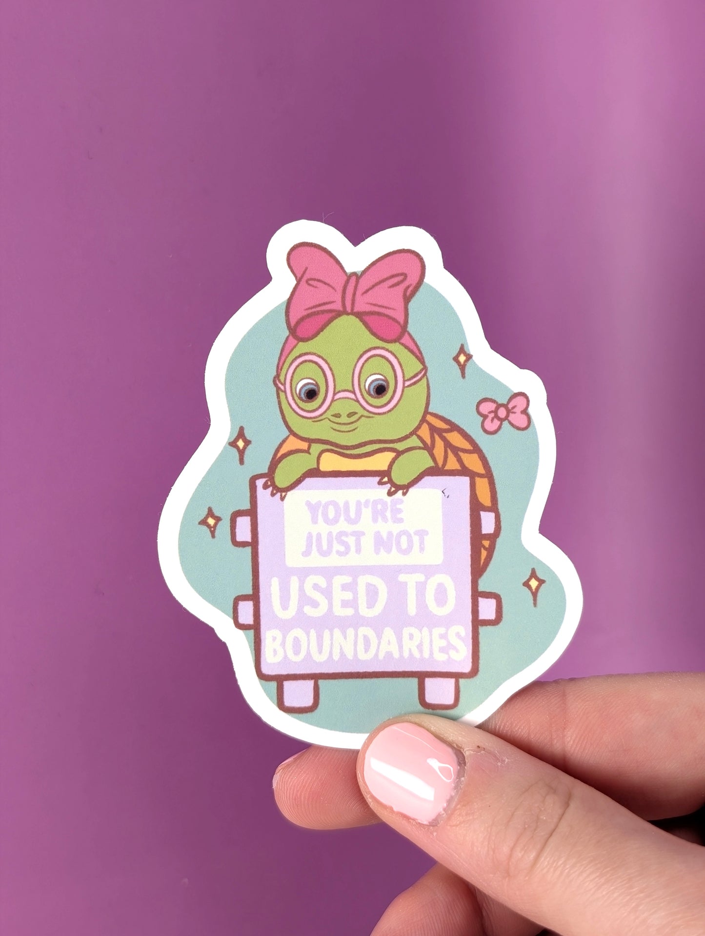 Not Used to Boundaries - My Wise Turtle