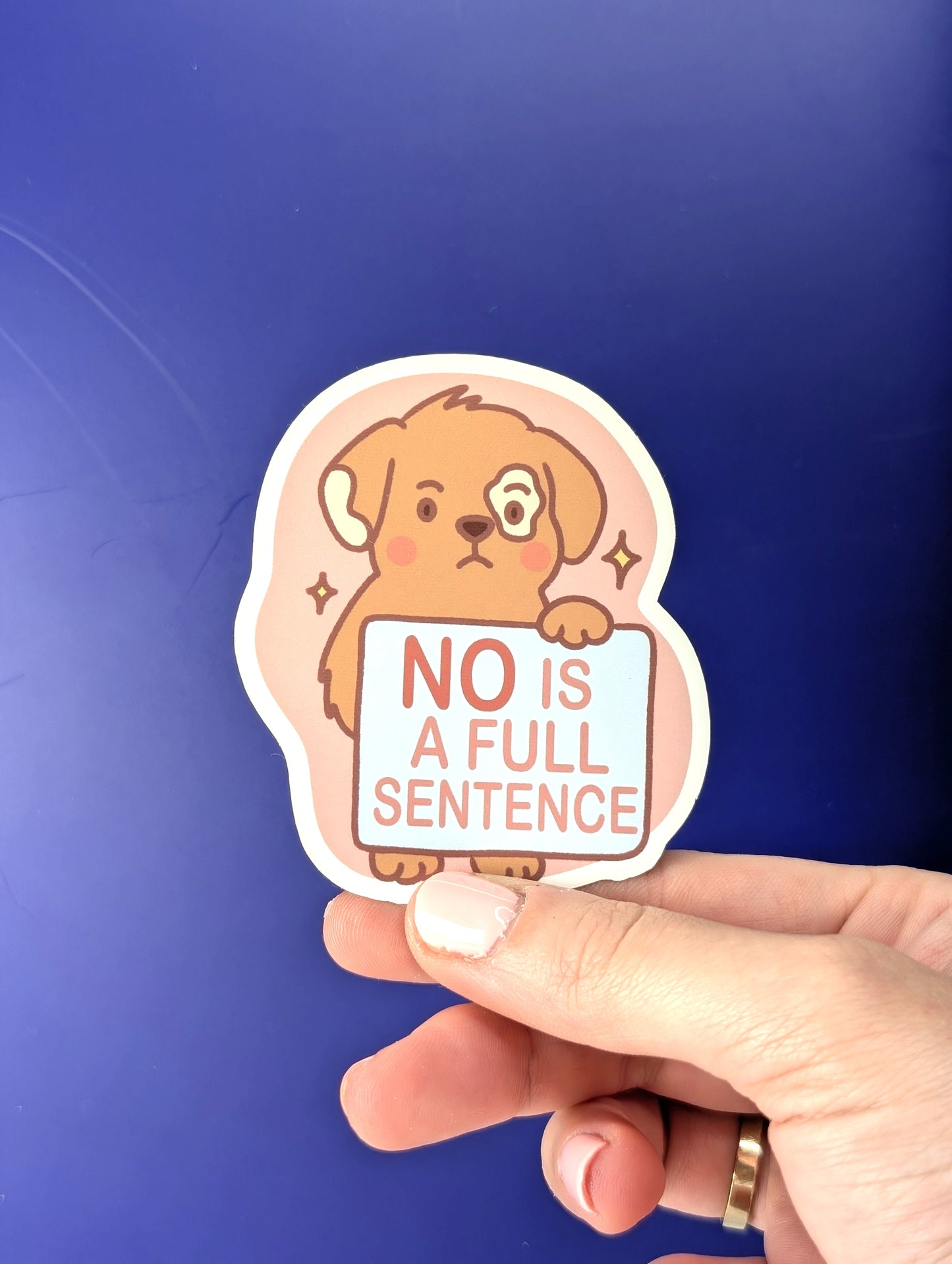 NO is a Full Sentence - My Wise Turtle