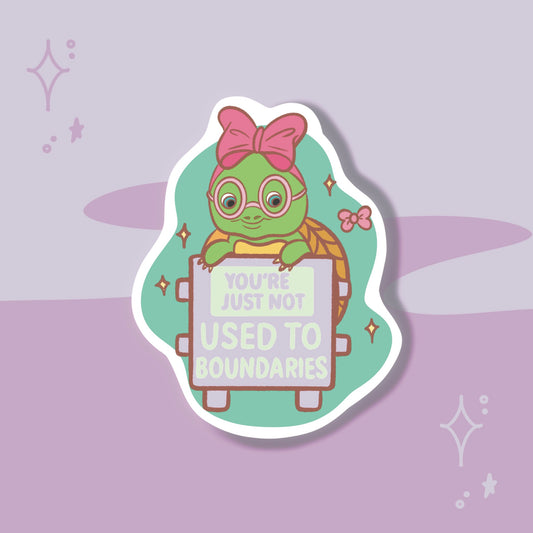Not Used to Boundaries - My Wise Turtle 
